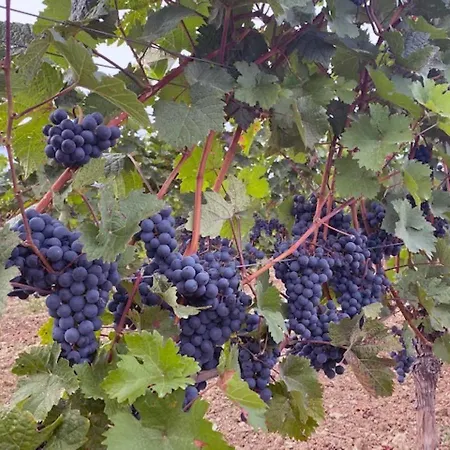 Appartement Penthouse Tauberblick