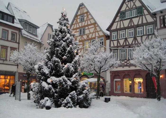 Penthouse Tauberblick 公寓